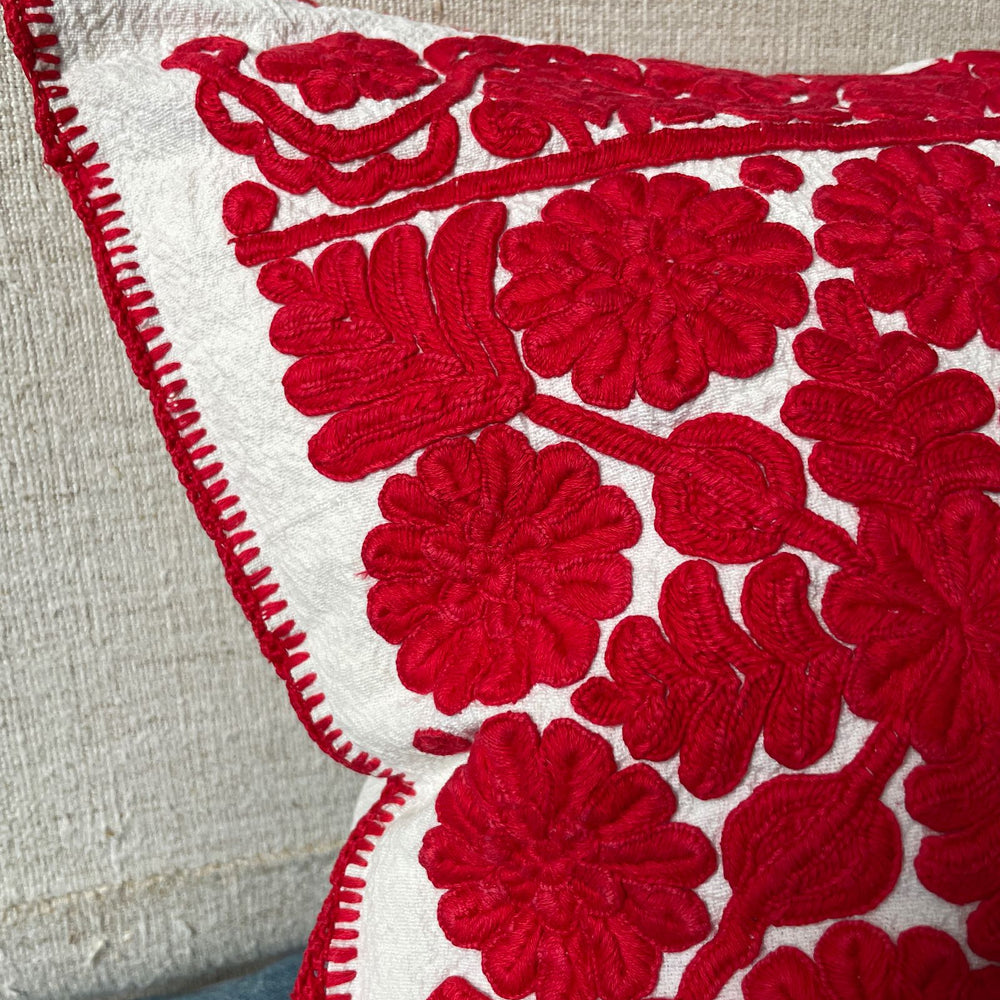 
                  
                    red irasos hand embroidered cushion cover couch pillow vintage folk textile 
                  
                